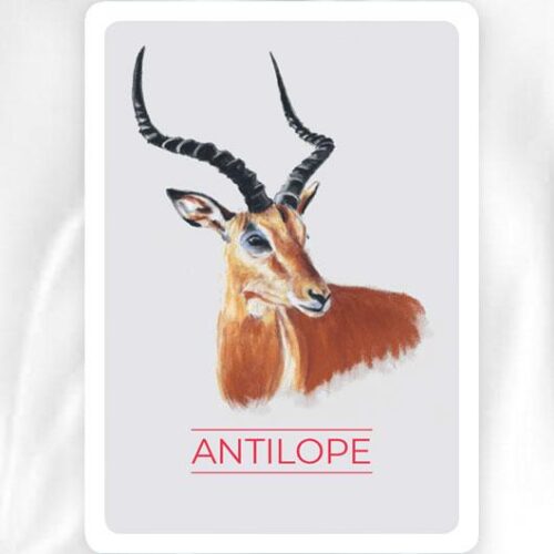 Antilope • Animaux Totem • Un jeu pour libérer votre énergie animale